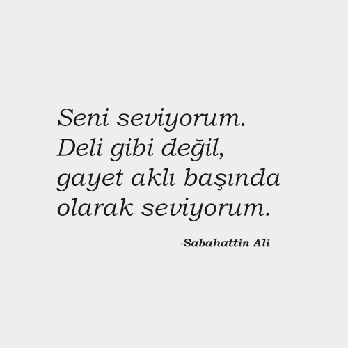 Sabahattin Ali – Bir Serenadın Sonu Şiiri