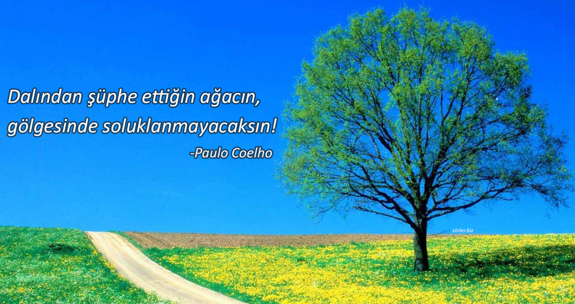 Paulo Coelho Sözleri, Paulo Coelho Anlamlı Sözleri