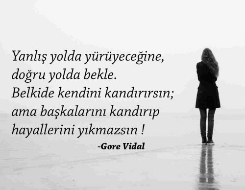 Gore Vidal Anlamlı Sözleri