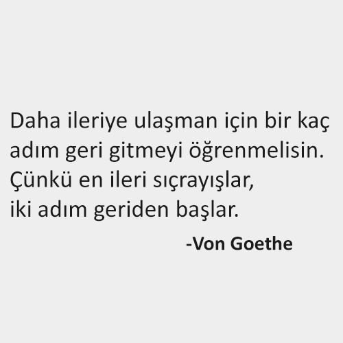 Felsefi Sözler, Von Goethe