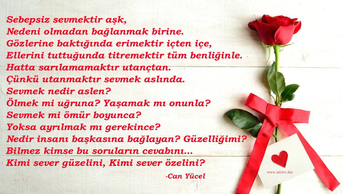 Sebepsiz sevmektir aşk - can yücel