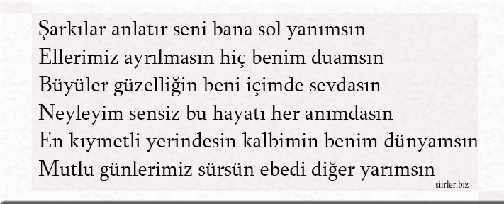 Şebnem İsmine Özel Akrostiş Şiir