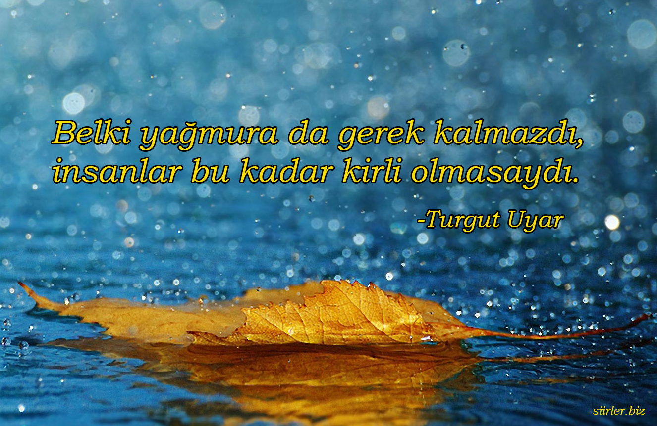 Turgut Uyar Belki yağmura da gerek kalmazdı