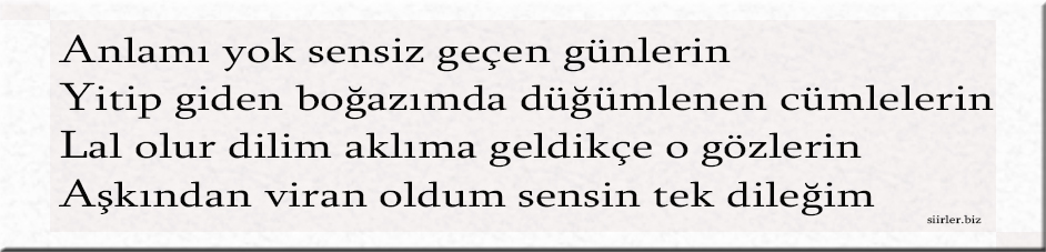 Ayla İsmine Özel Akrostiş Şiir