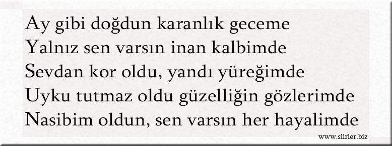 Aysun İsmine Özel Akrostiş Şiir