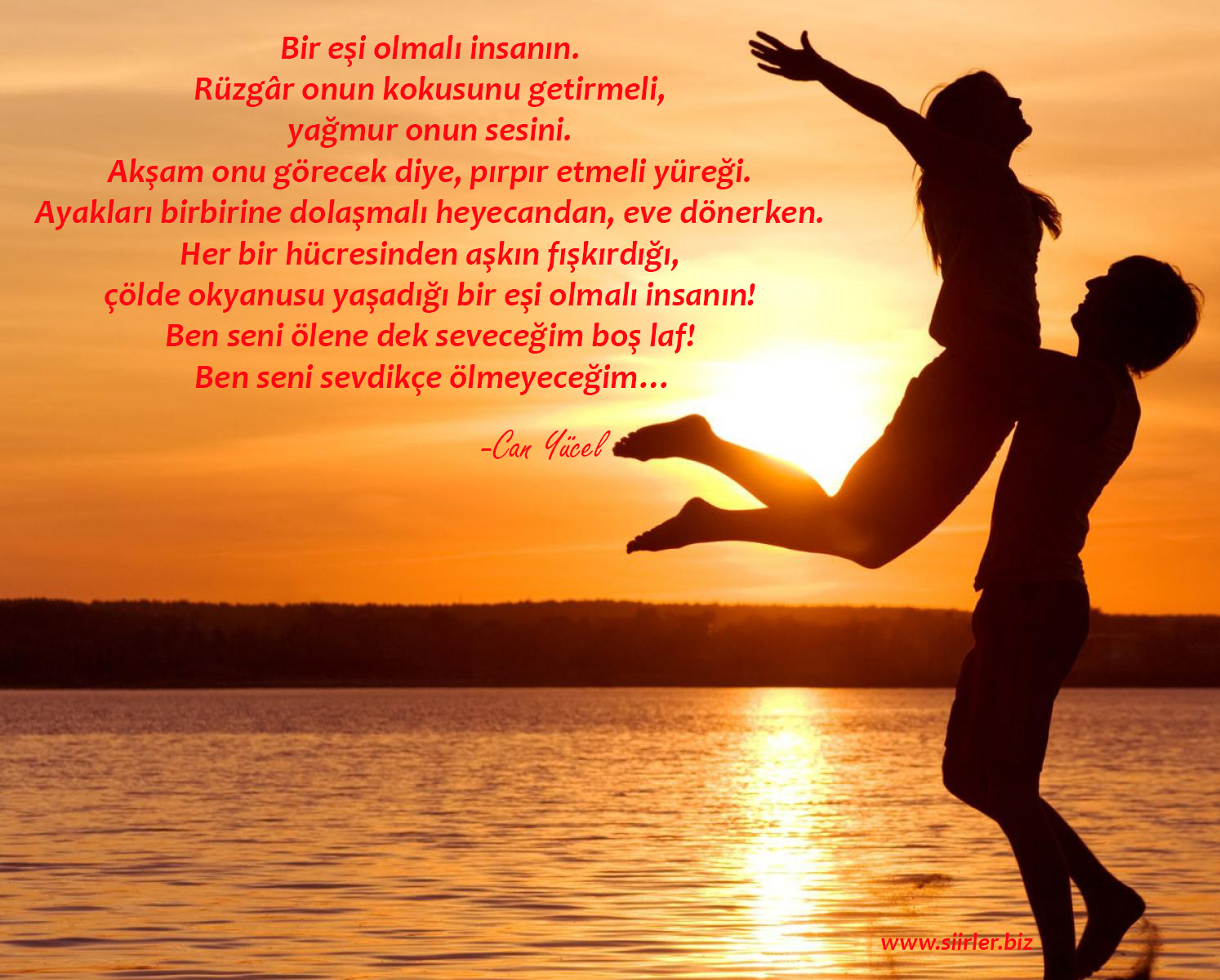 bir eşi olmalı insanın şiiri, can yücel şiirleri