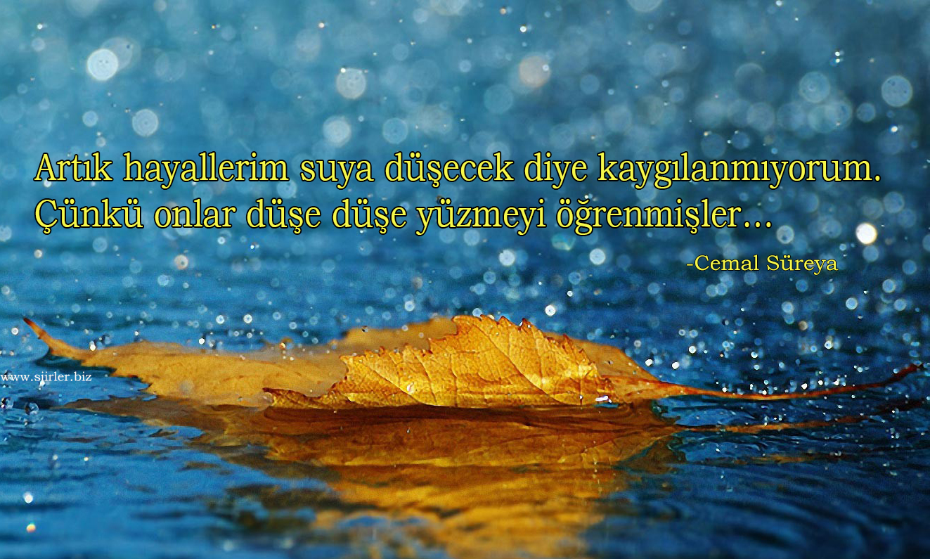 cemal süreya anlamlı sözleri