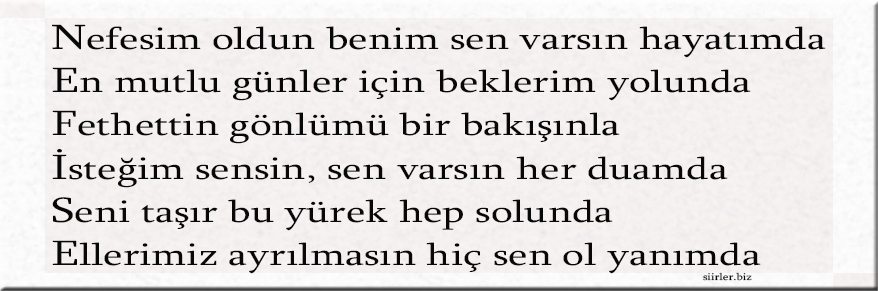 Nefise İsmine Özel Akrostiş Şiir