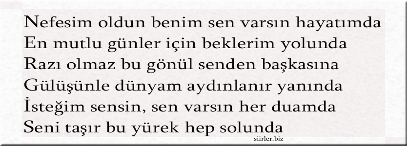 Nergis İsmine Özel Akrostiş Şiir