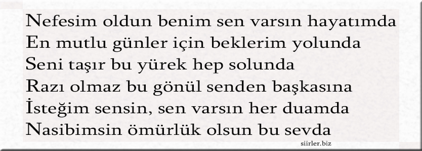 Nesrin İsmine Özel Akrostiş Şiir