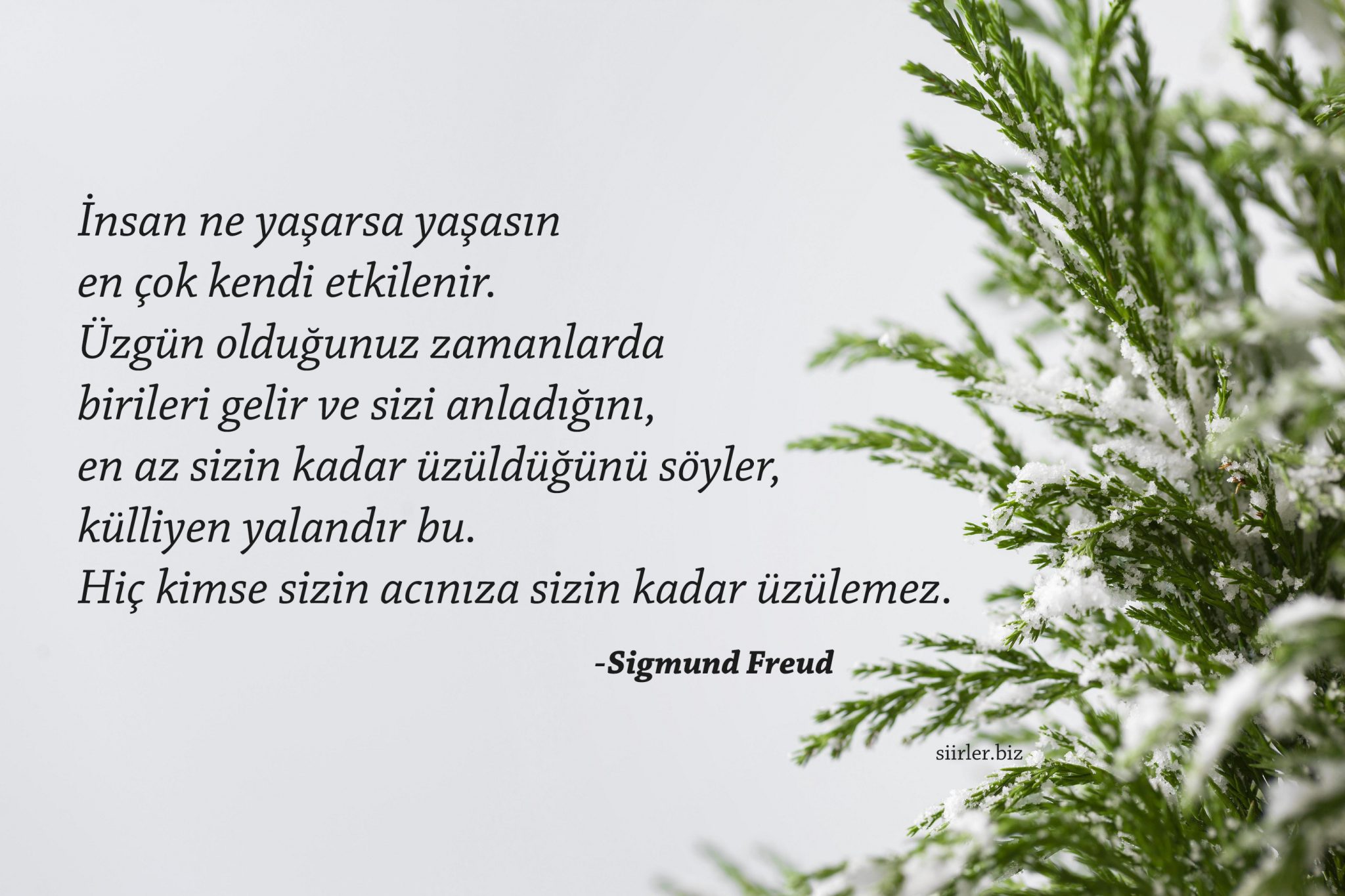 Sigmund Freud Felsefi Sözleri
