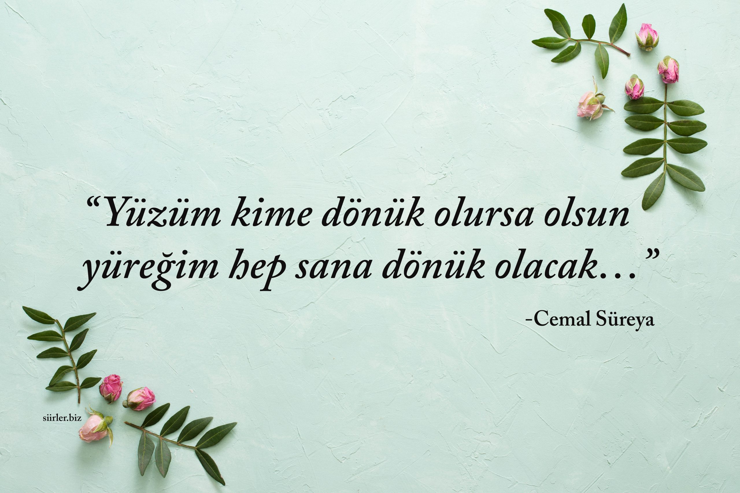 Cemal Süreya Yüzüm kime dönük olursa olsun