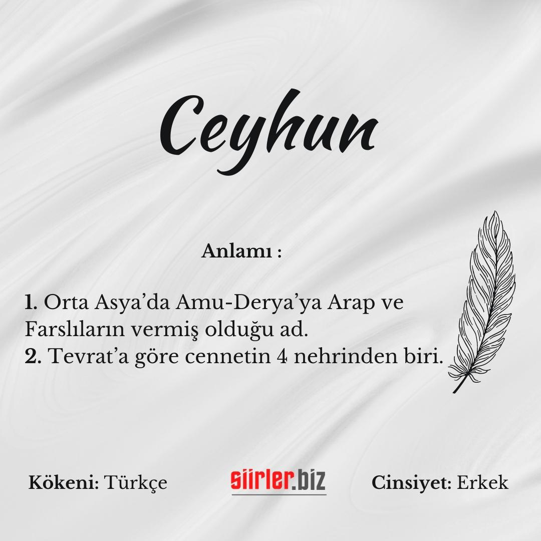 Ceyhun İsminin Anlamı Nedir?