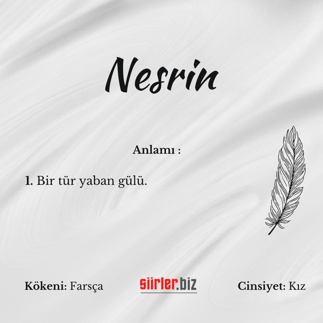 Nesrin İsminin Anlamı Nedir?