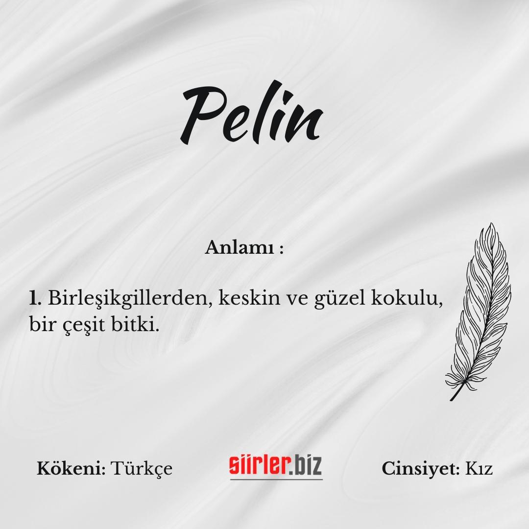 Pelin isminin anlamı, pelin ismi