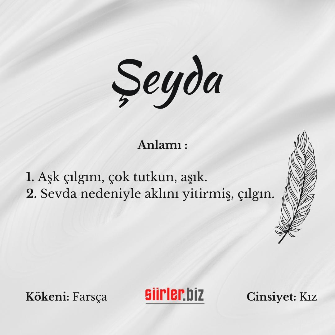 Şeyda isminin anlamı, şeyda ismi