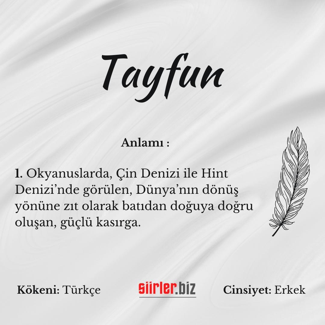 Tayfun İsminin Anlamı Nedir?