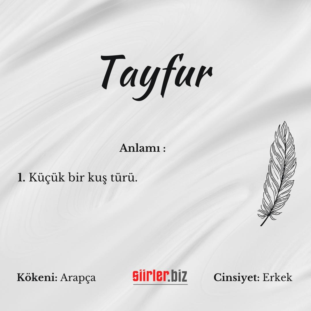 Tayfur isminin anlamı, tayfur ismi