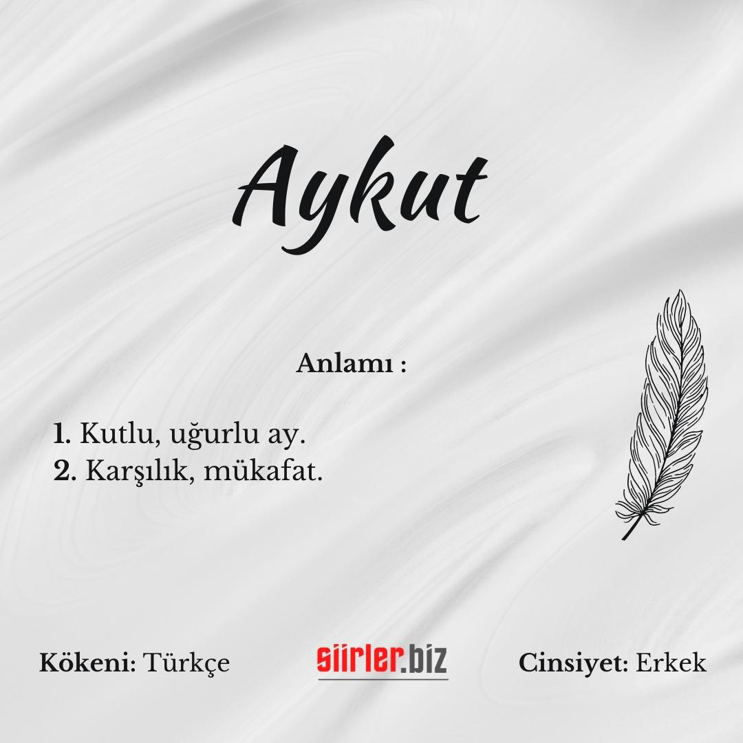 Aykut İsminin Anlamı Nedir?