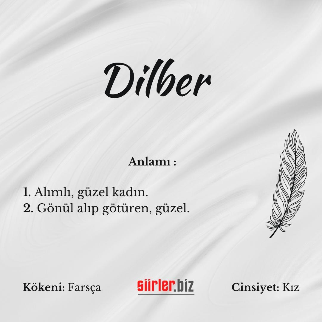 Dilber İsminin Anlamı Nedir?