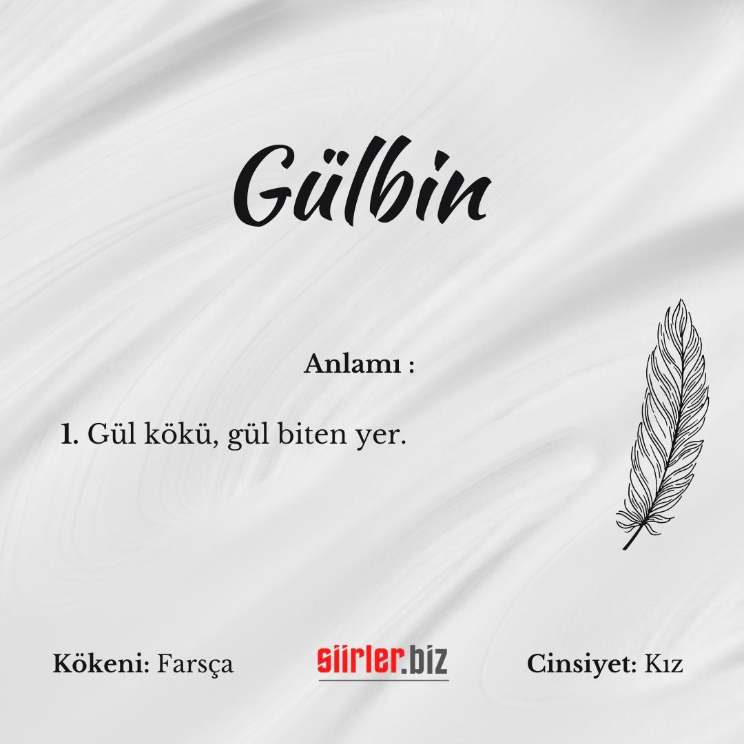 Gülbin İsminin Anlamı Nedir?