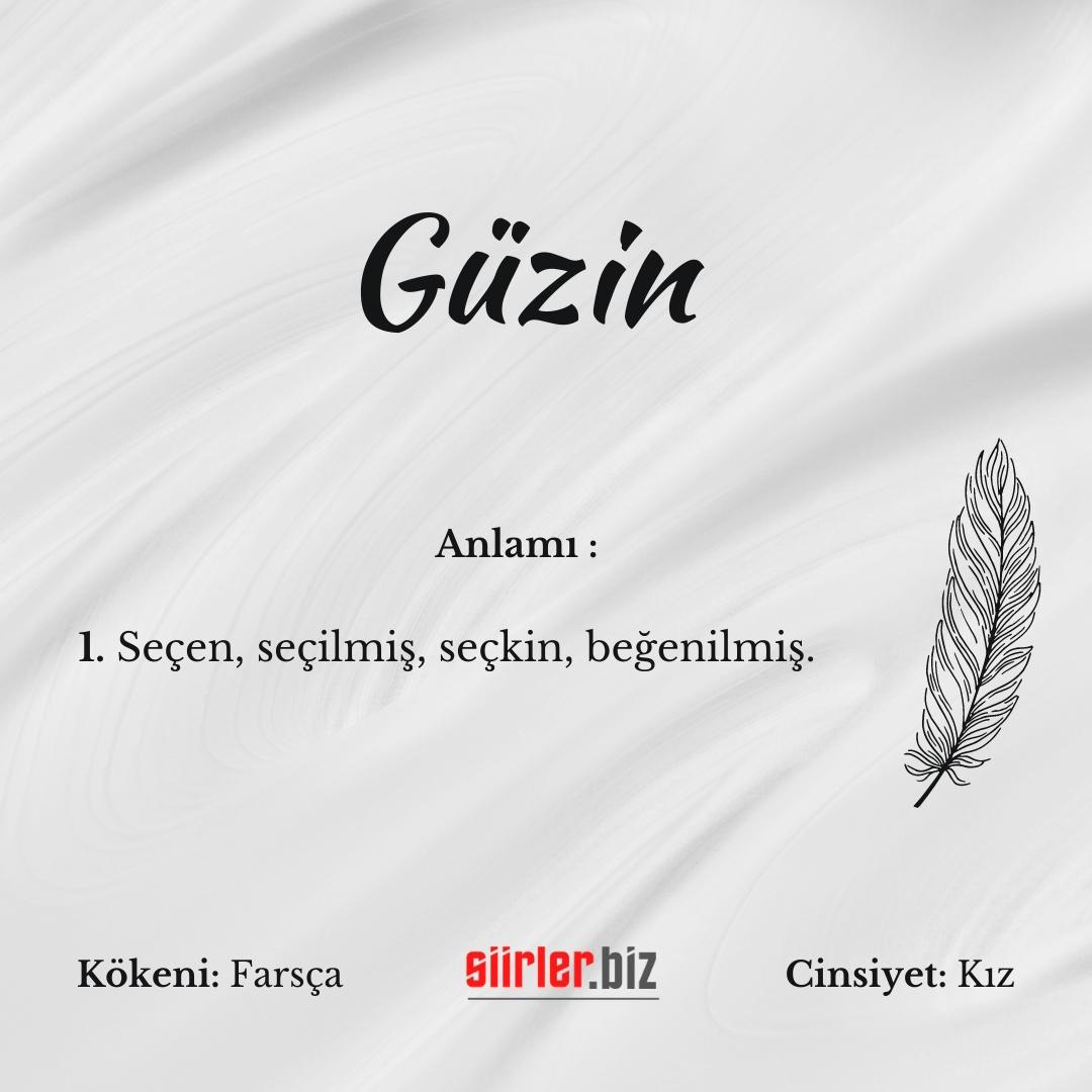 Güzin İsminin Anlamı Nedir?