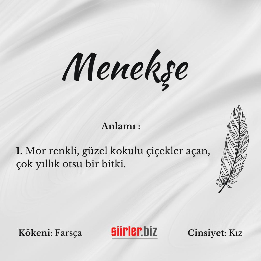 Menekşe isminin anlamı, menekşe ismi