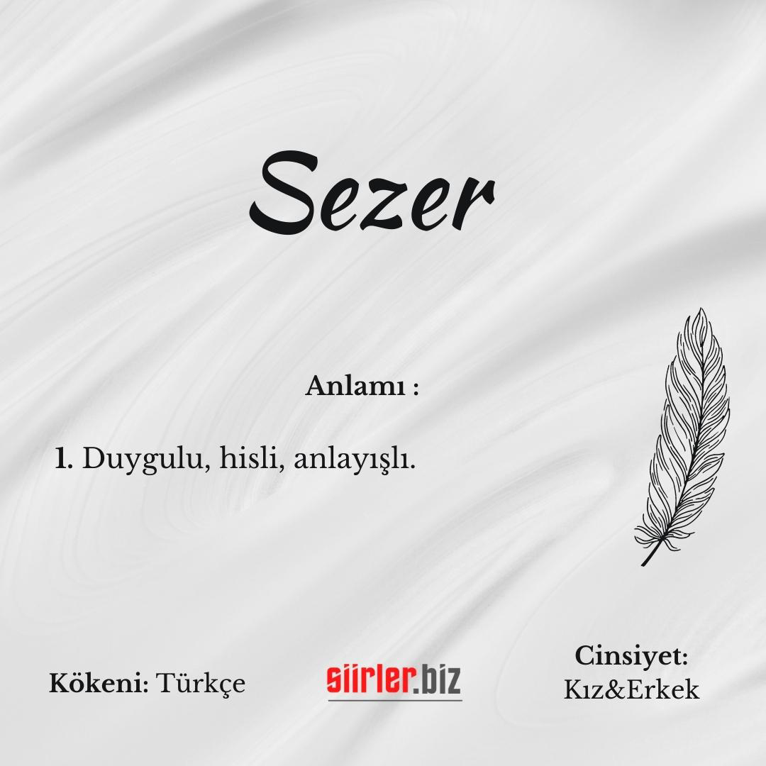 Sezer İsminin Anlamı Nedir?