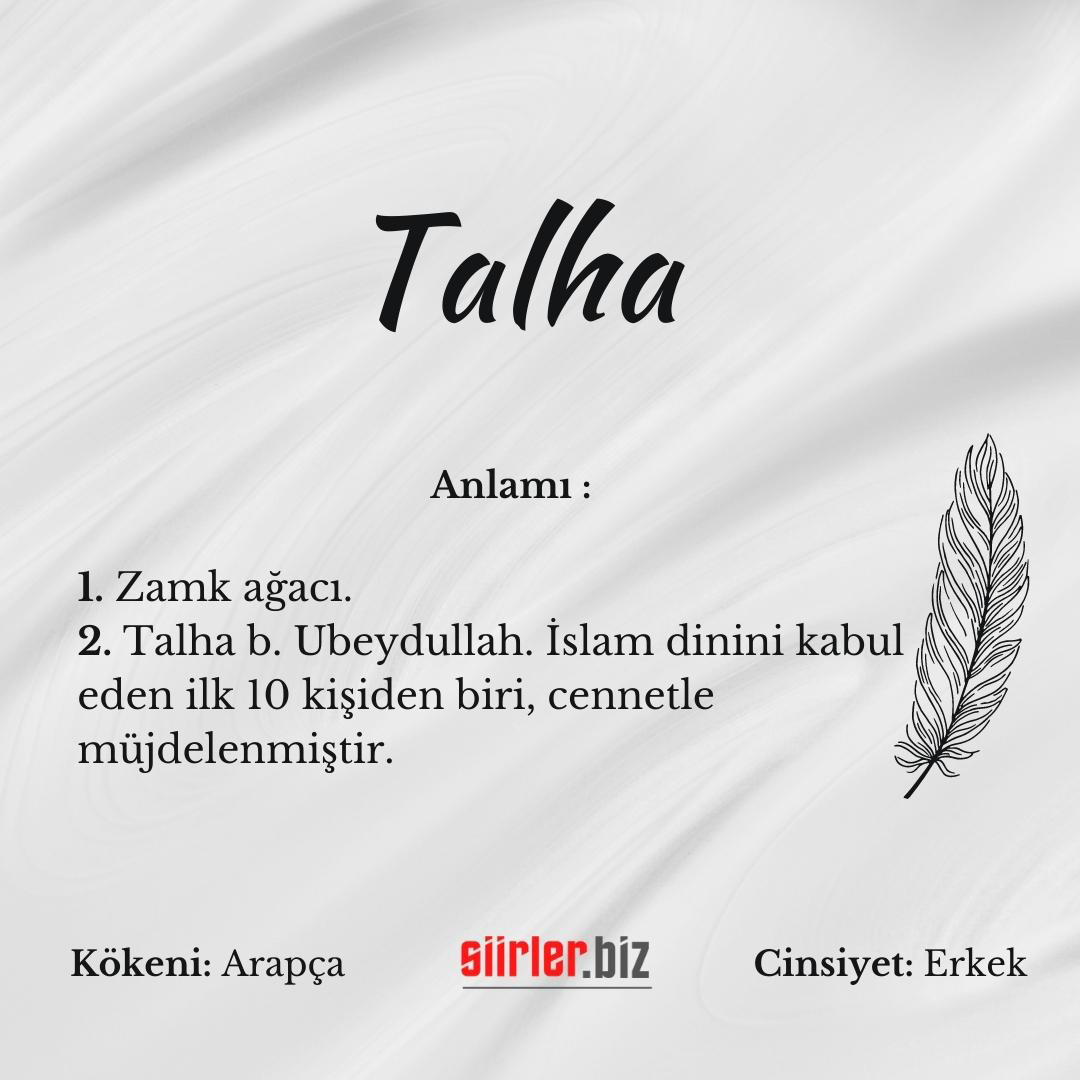 Talha İsminin Anlamı Nedir?